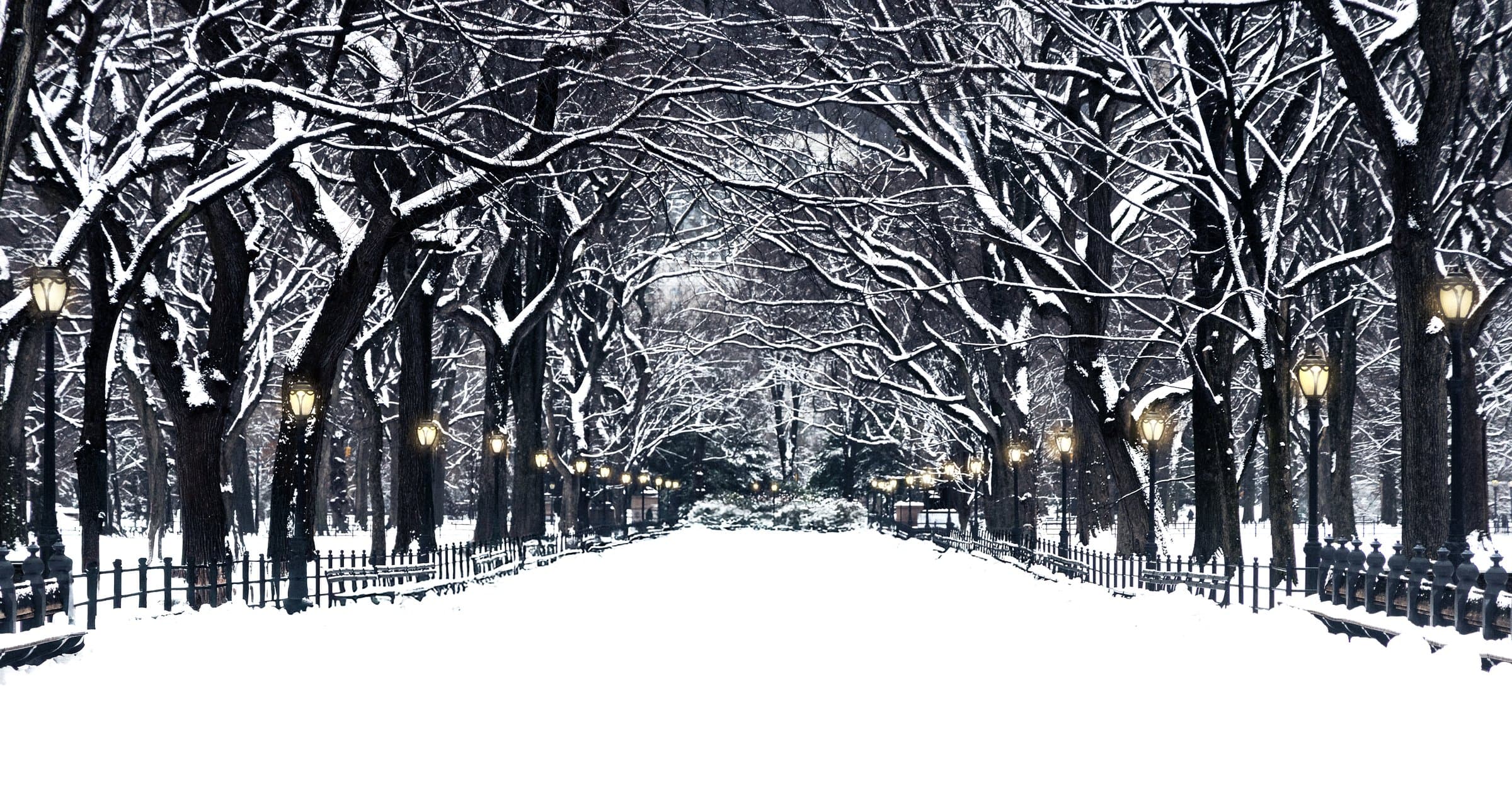 The Mall, Winter, 2024 — Archival pigment print by Daniel Montero, Central Park, New York