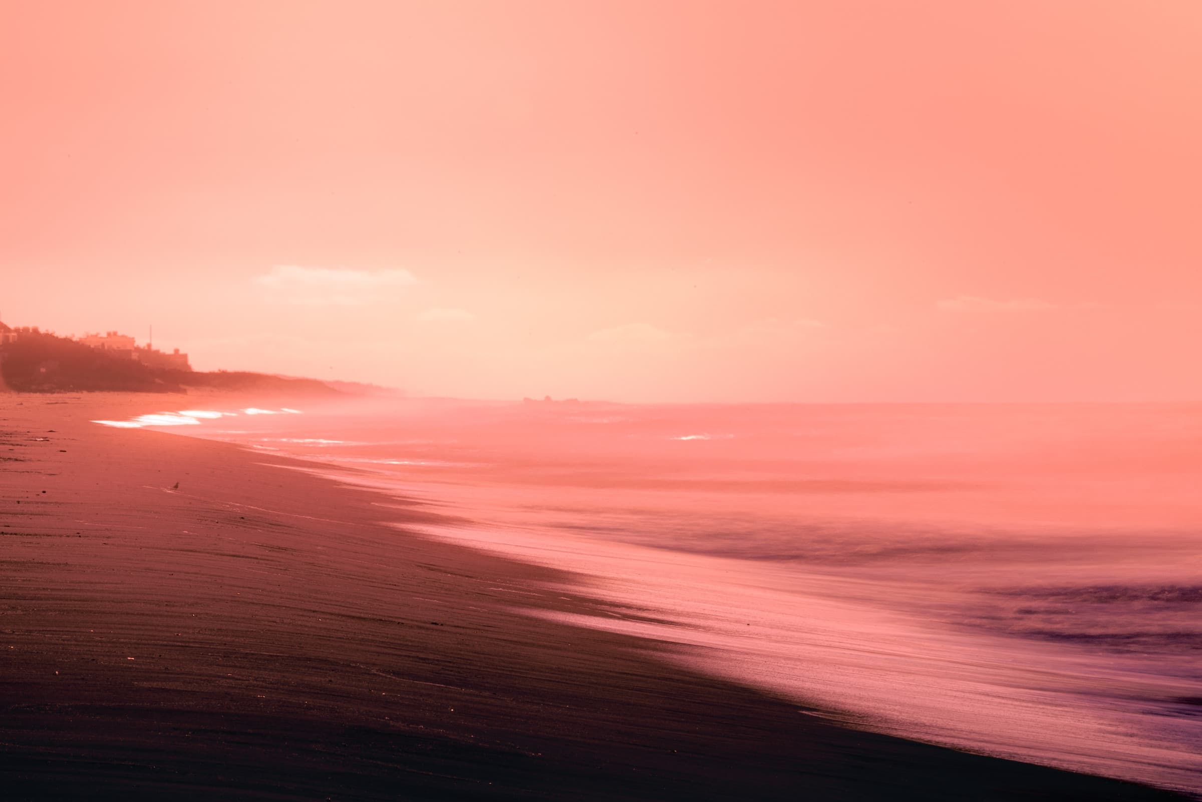 Pink Shore by Daniel Montero