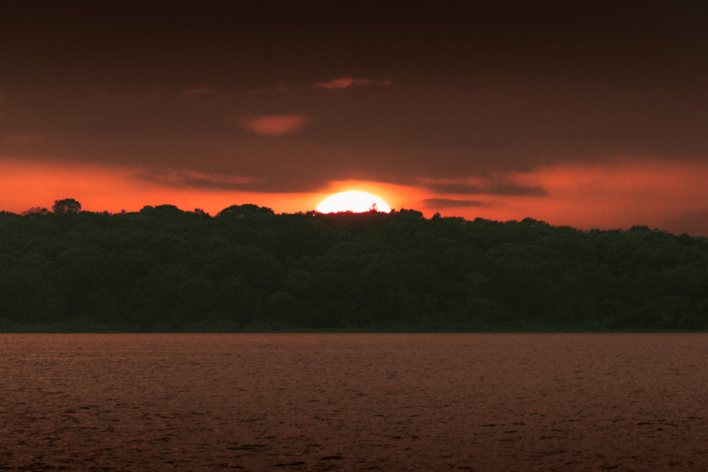 Sun at the Treeline by Daniel Montero