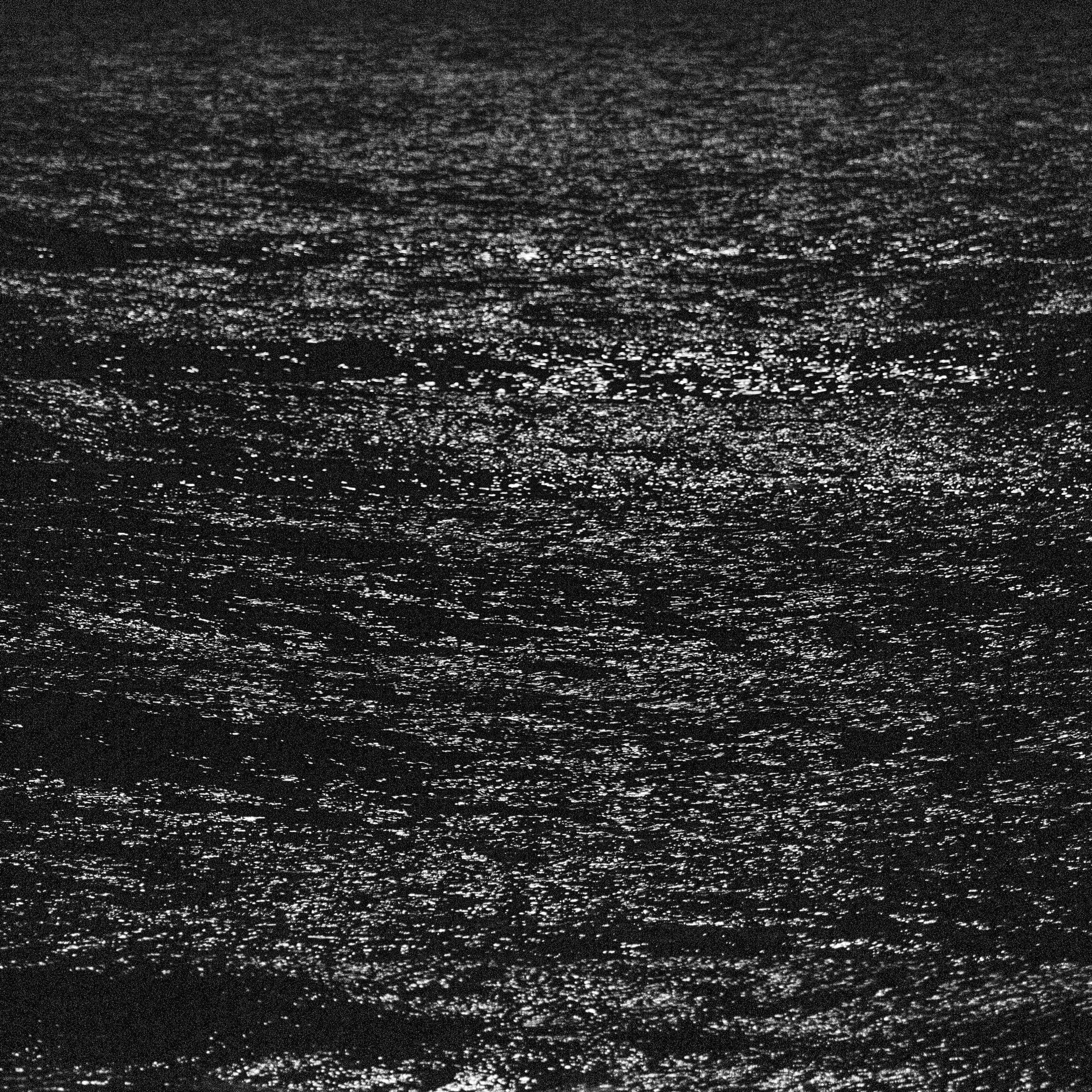Bark by Daniel Montero · Photographic study