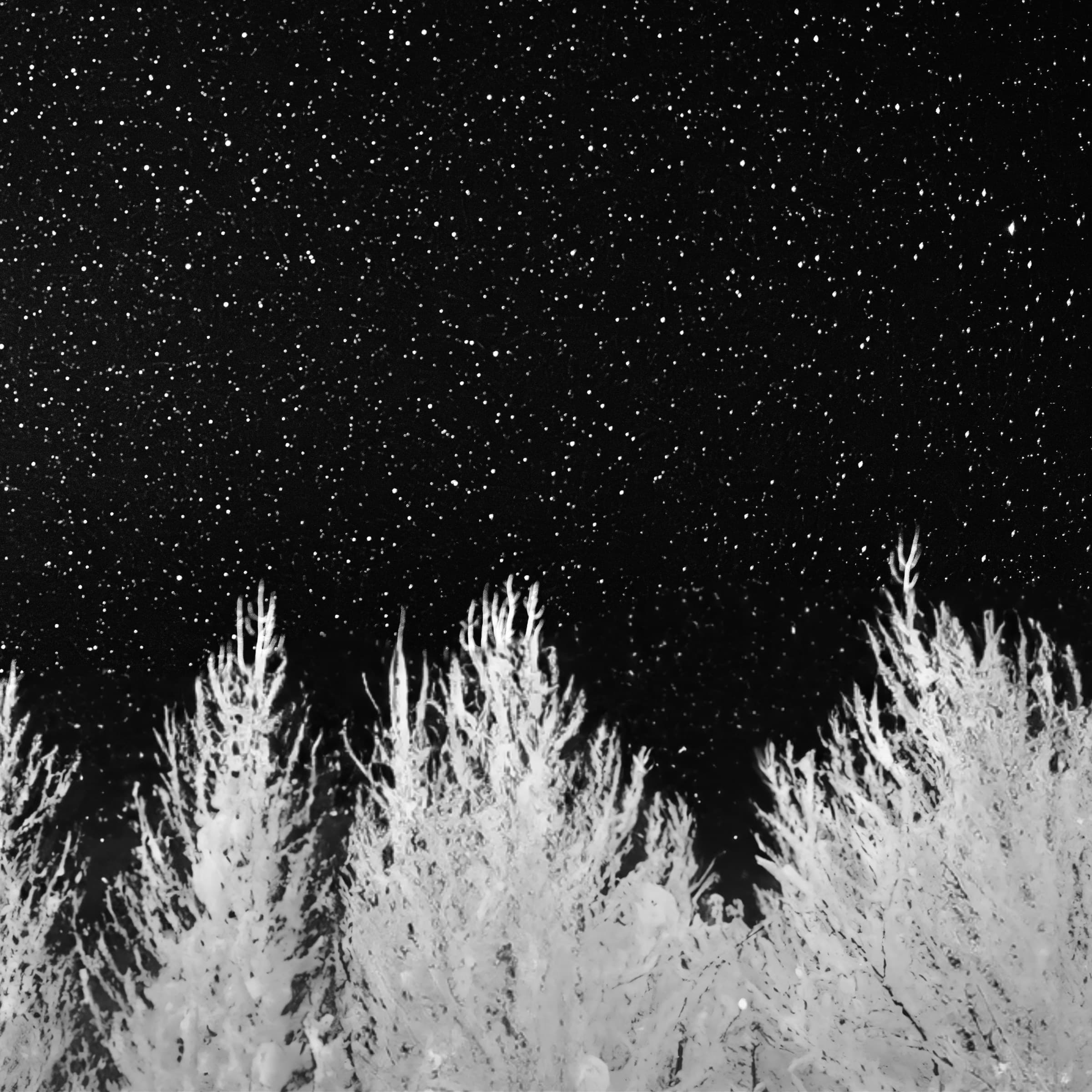 Frost and Stars by Daniel Montero · Photographic study
