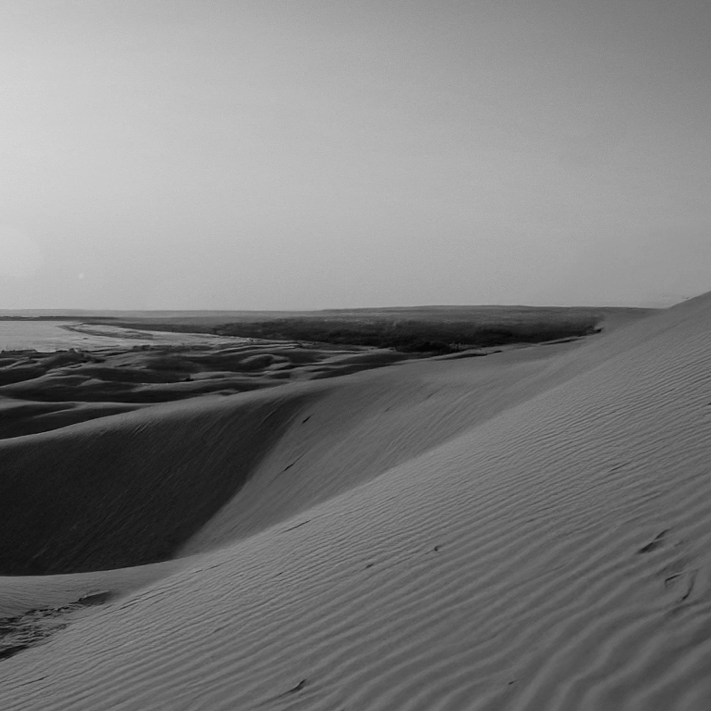 Wind on the Dune by Daniel Montero · Photographic study