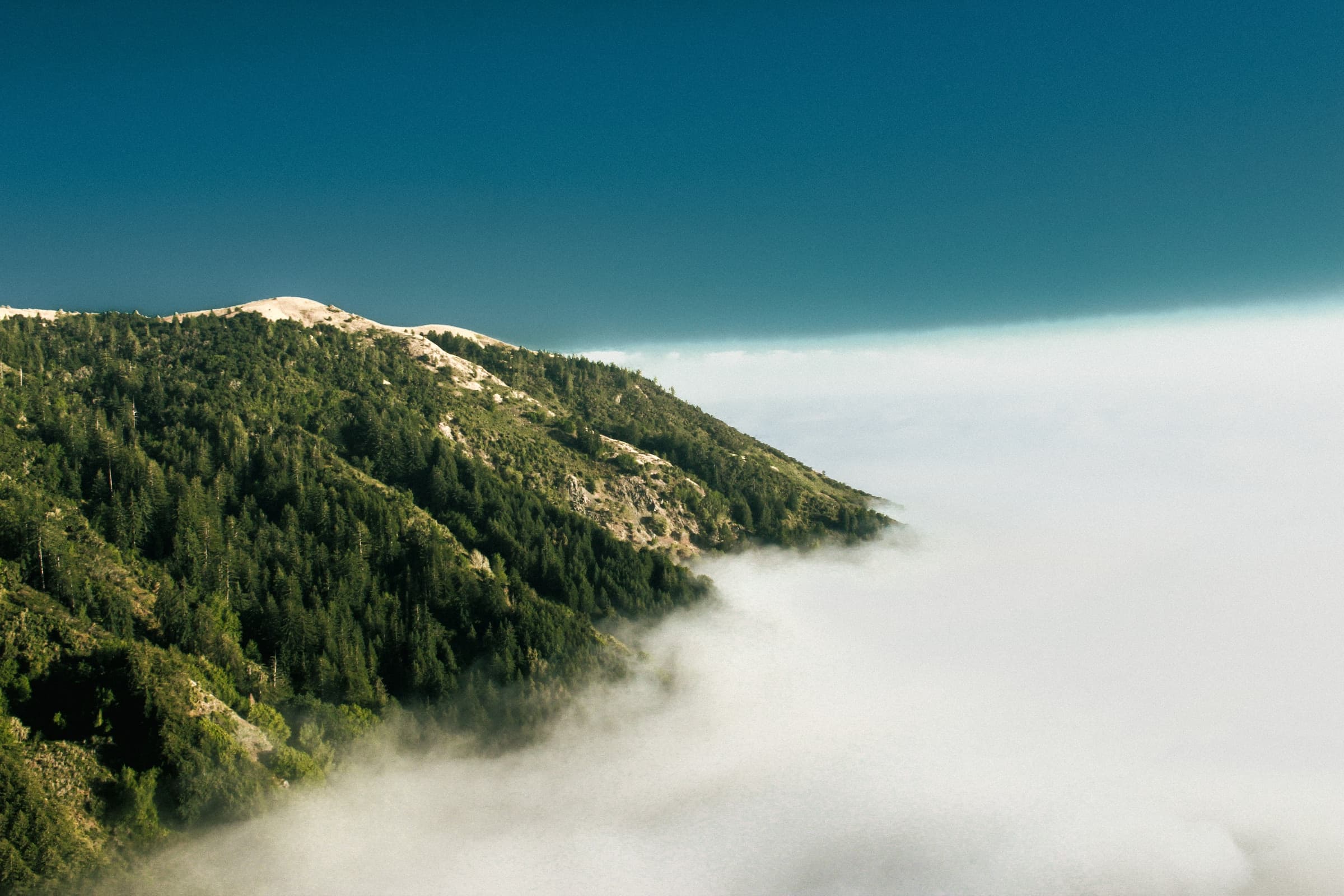 Above the Cloud by Daniel Montero
