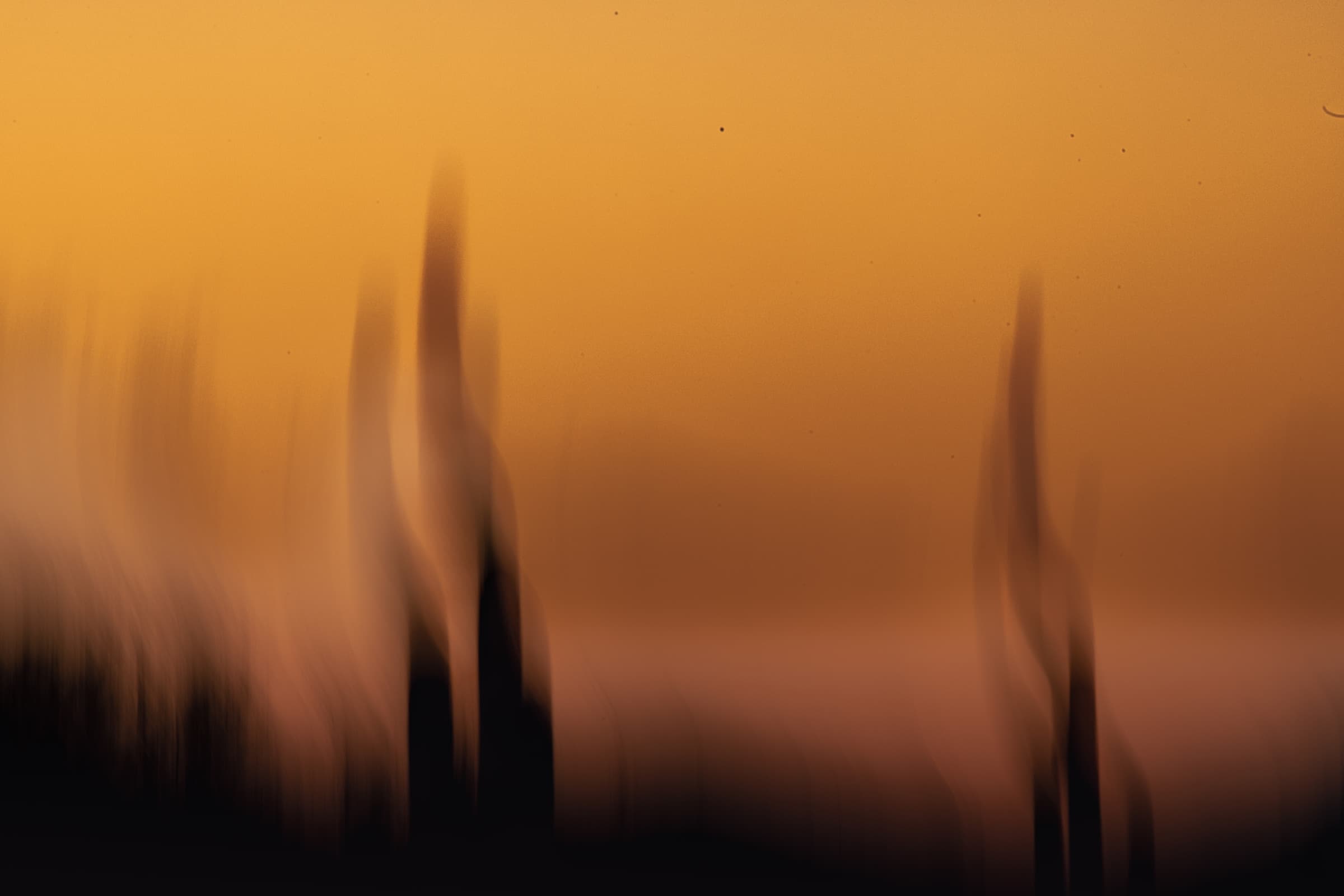 Ochre Spires by Daniel Montero