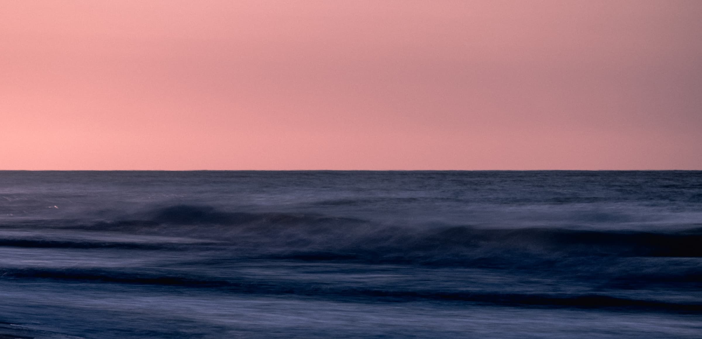 Rose over Water by Daniel Montero