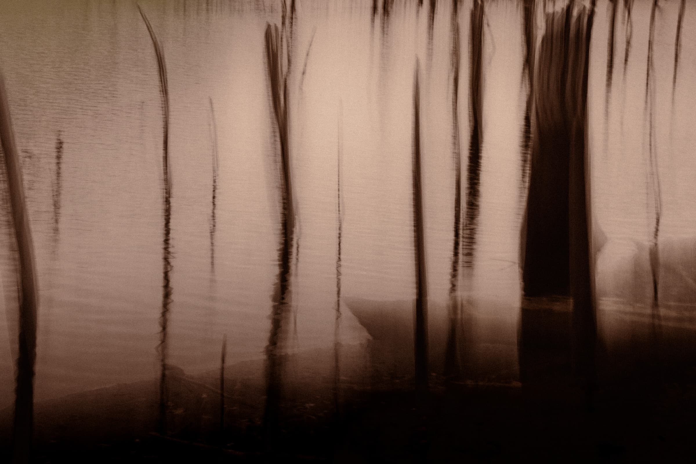Standing Water by Daniel Montero