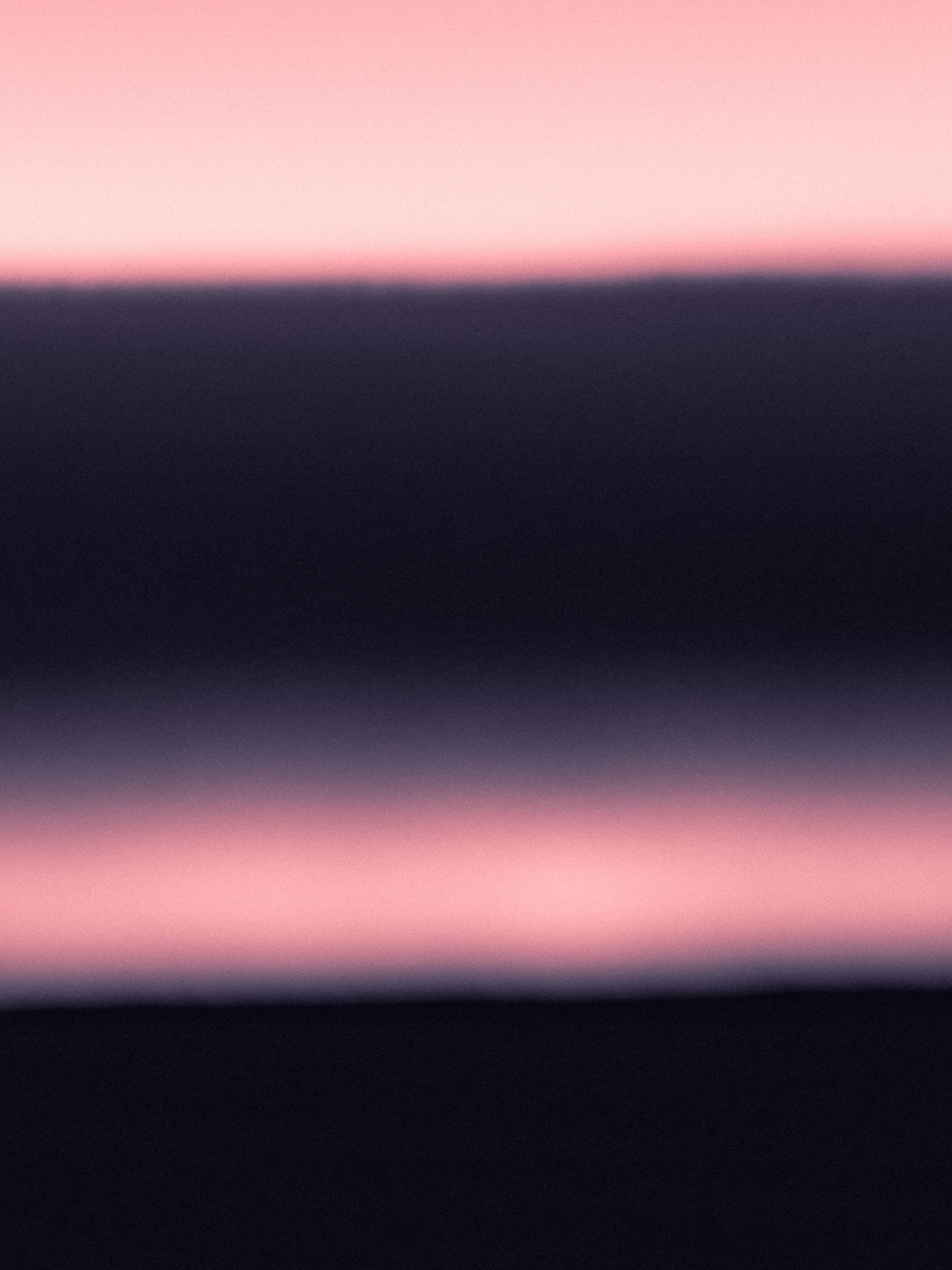 Two Rose Bands — Vertical Study by Daniel Montero