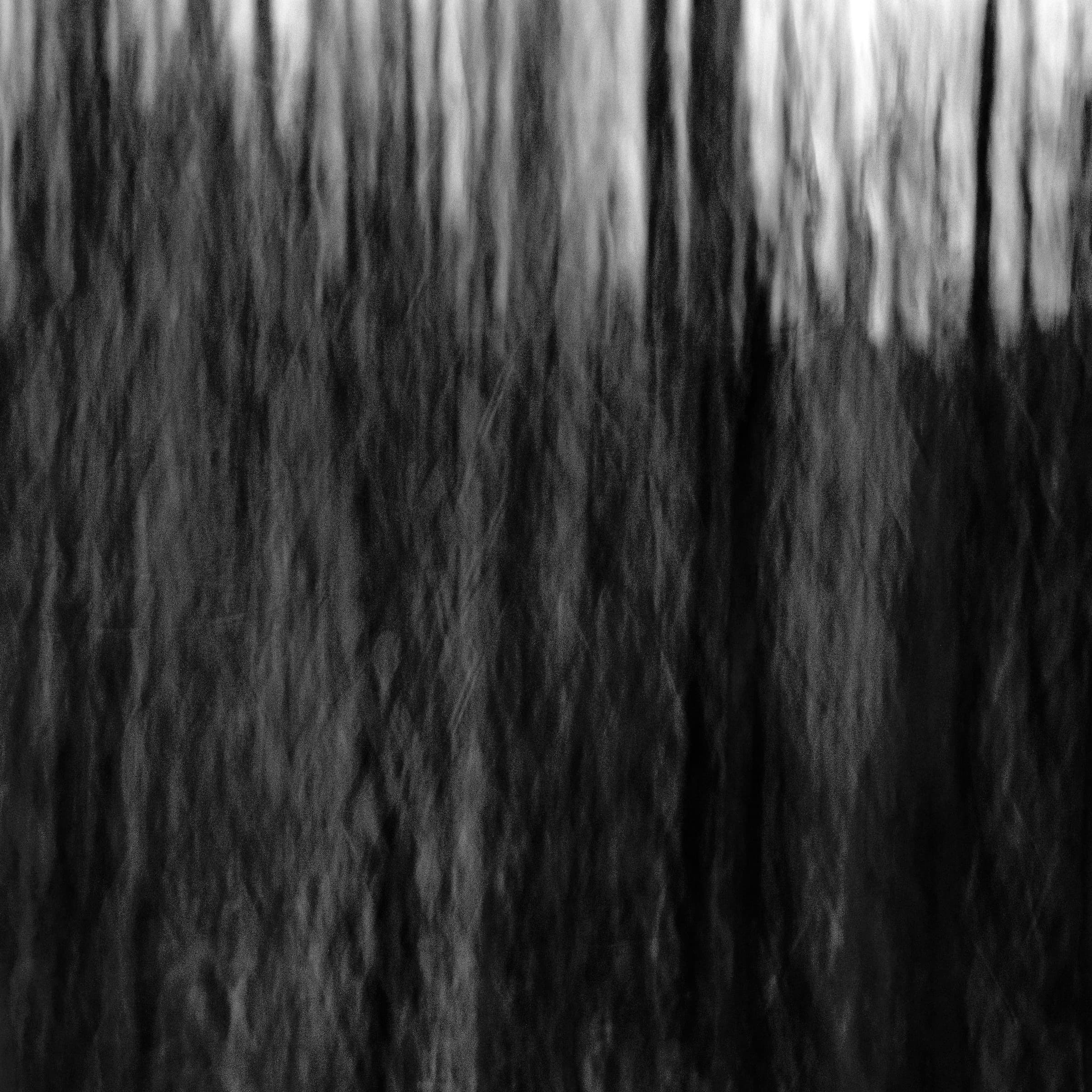 Dark Trunks by Daniel Montero · Photographic study