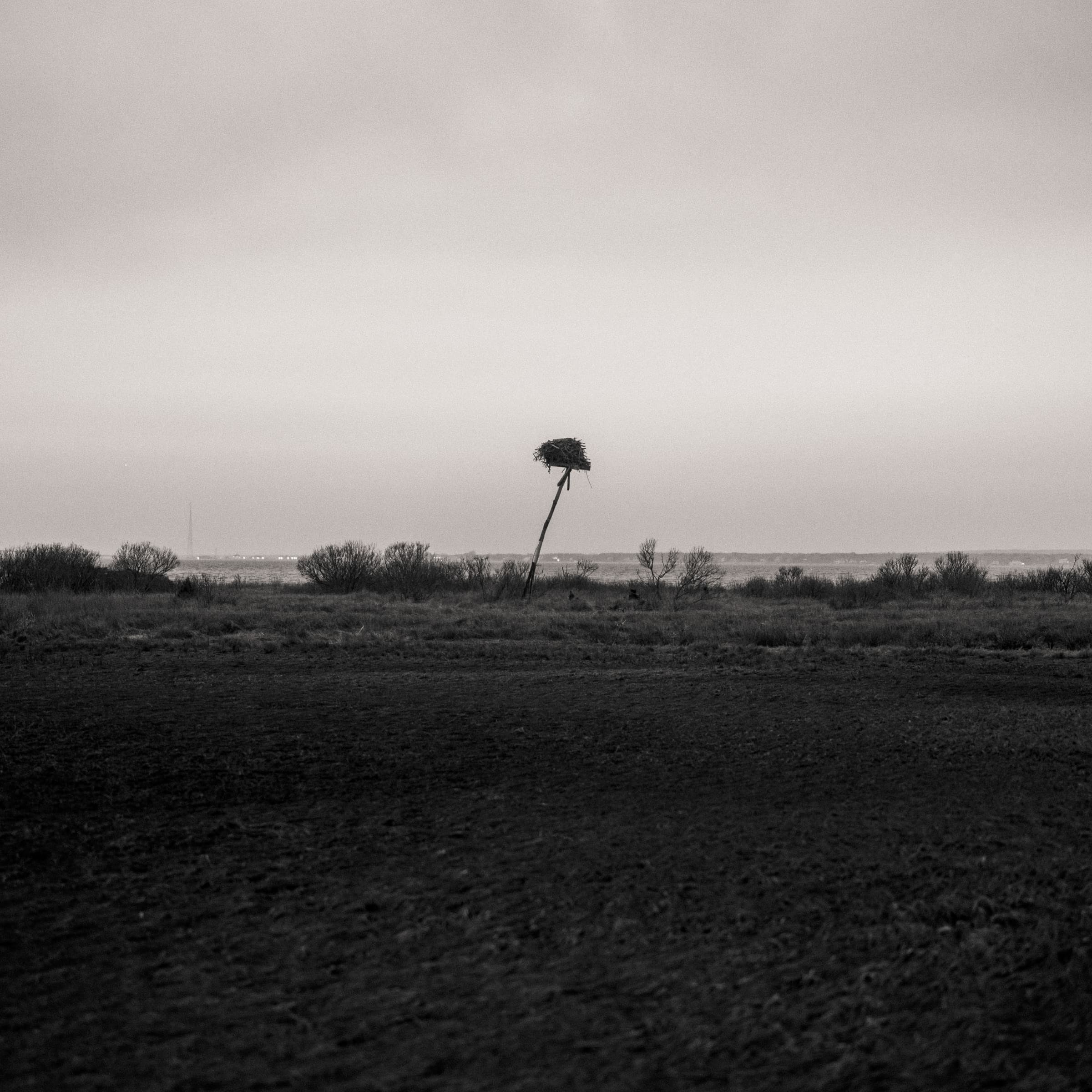Raised Shelter by Daniel Montero · Photographic study