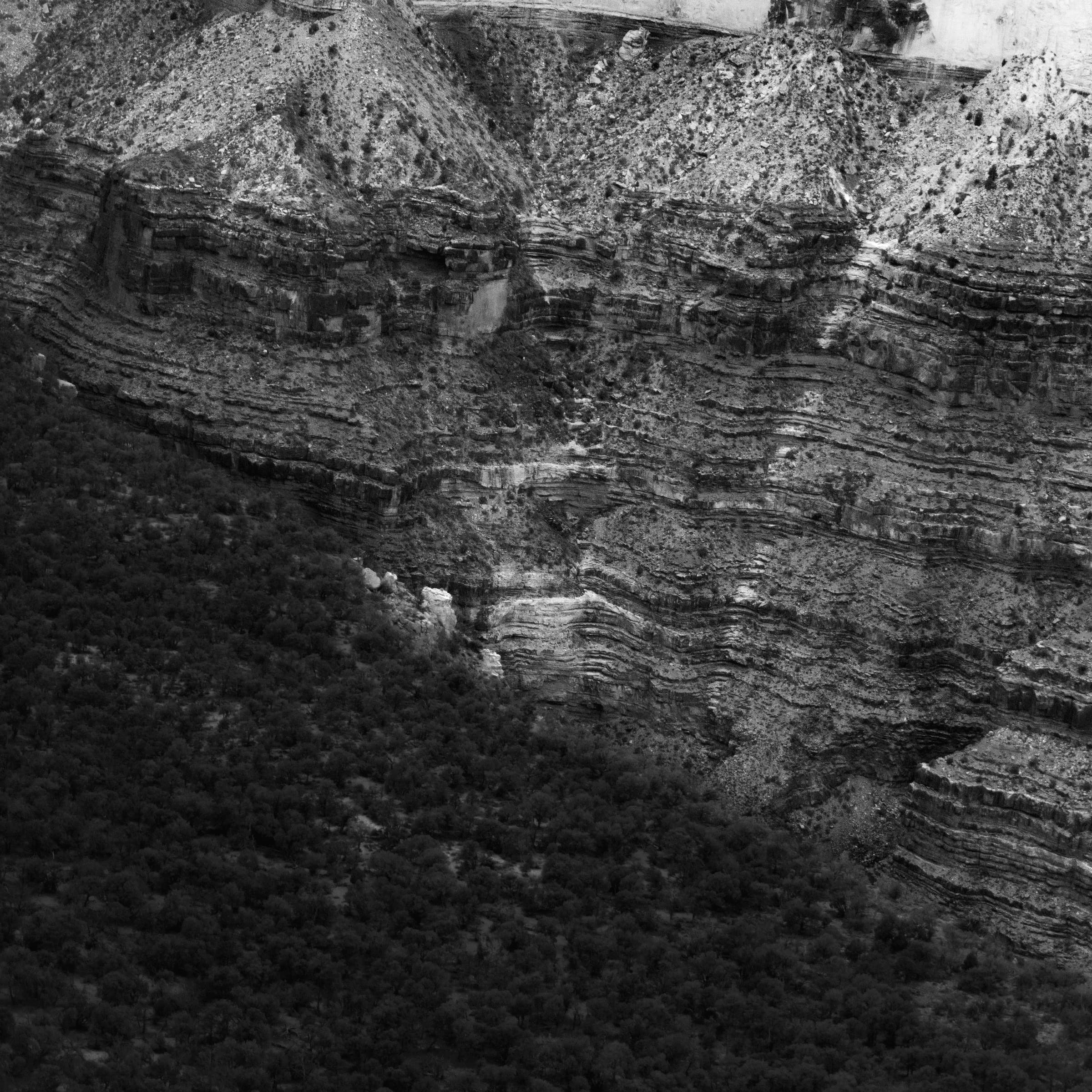 Strata and Scrub by Daniel Montero · Photographic study