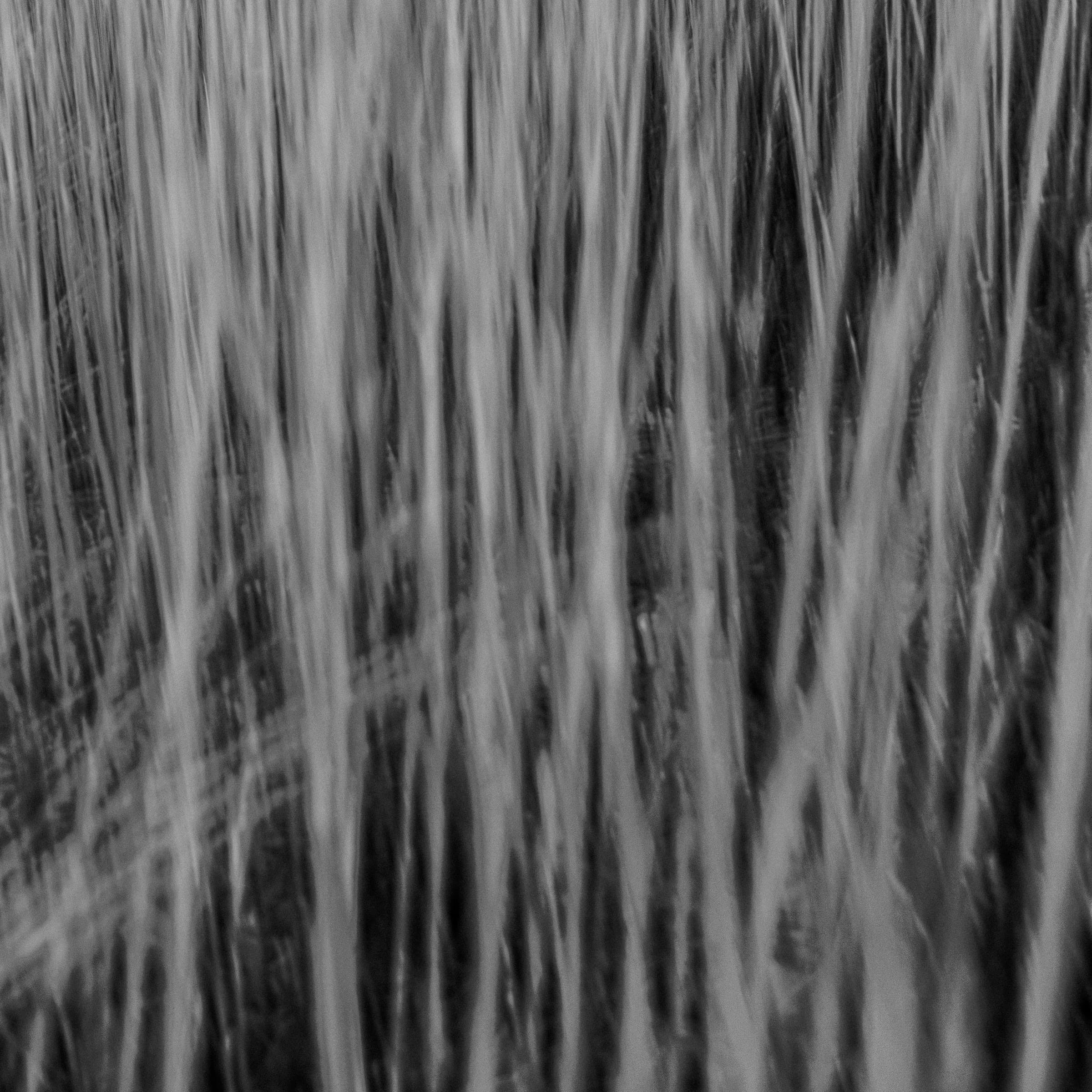 White Grasses by Daniel Montero · Photographic study