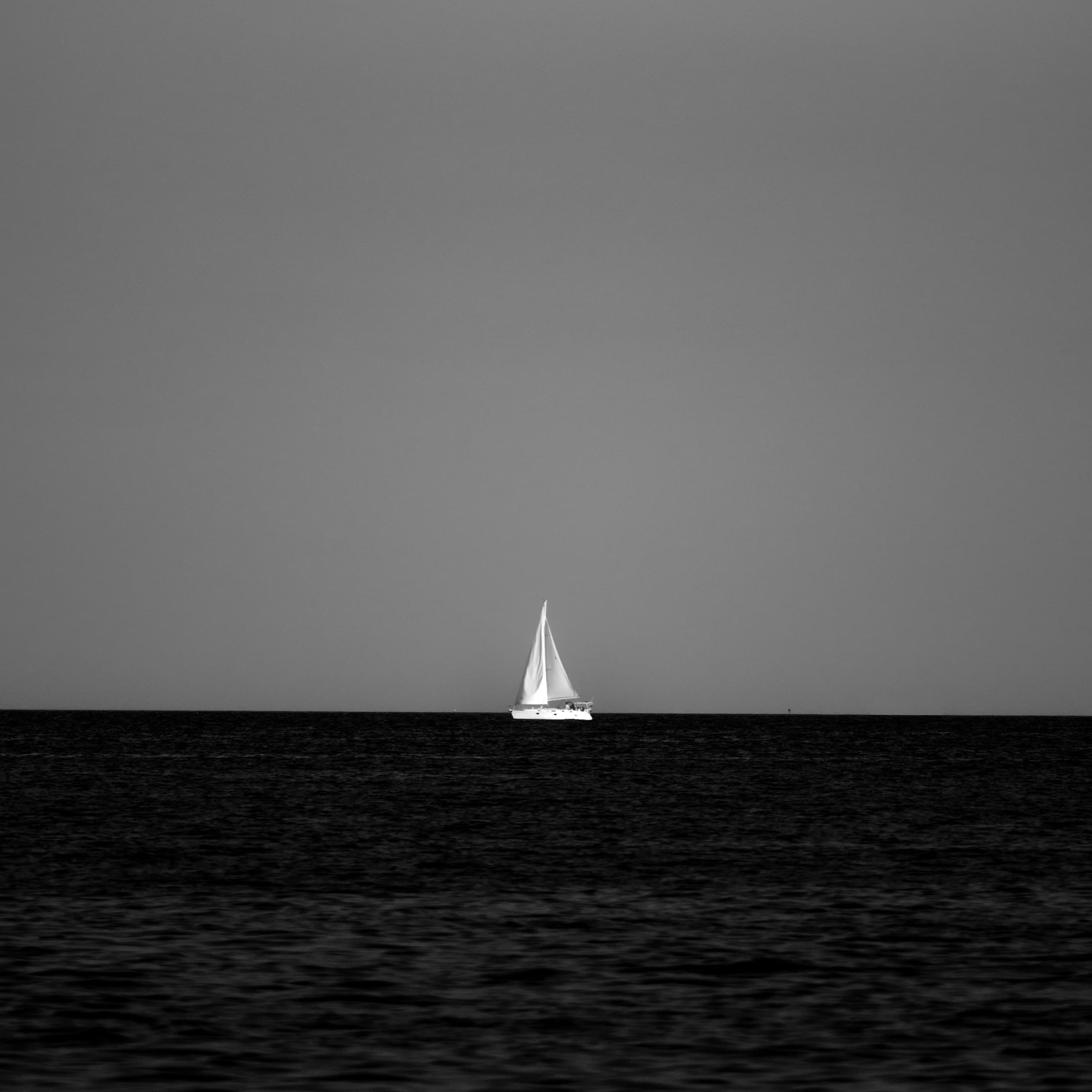 White Sail by Daniel Montero